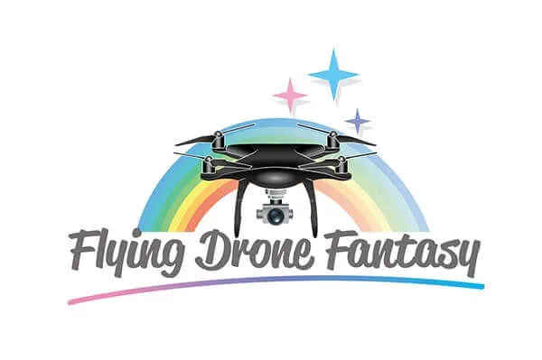 Logo Drone