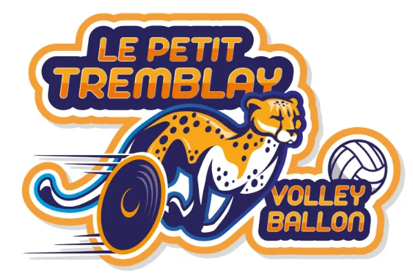 Logo volley-ball
