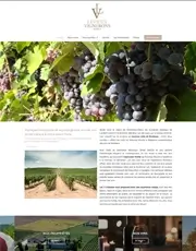Exemple de site réalisé pour un vignoble