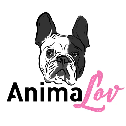 Exemple logo