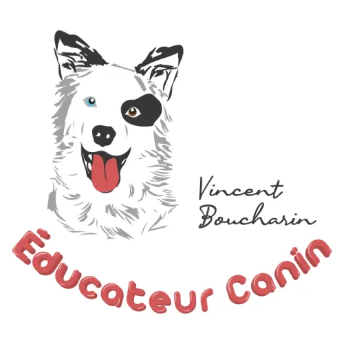 Exemple logo