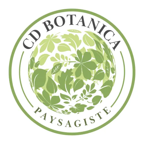 Exemple logo