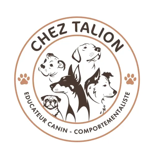 Exemple logo