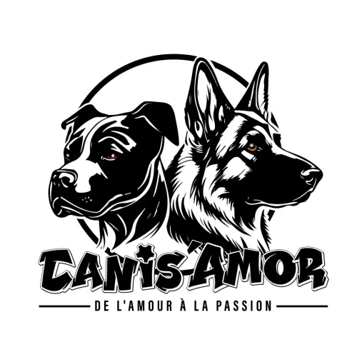 Exemple logo