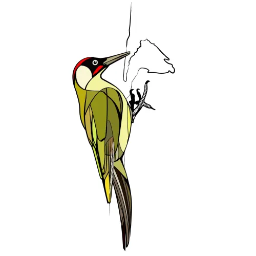 Exemple logo
