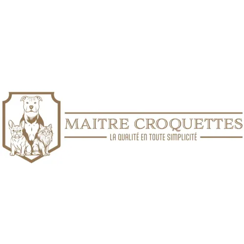 Exemple logo