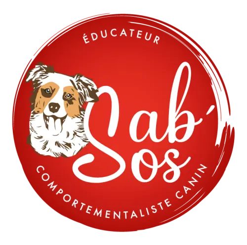 Exemple logo