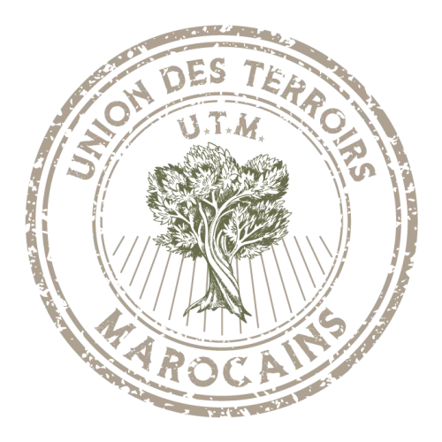 Exemple logo