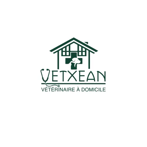 Exemple logo